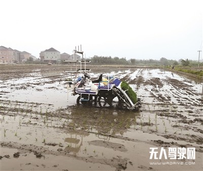 全省首臺(tái)無(wú)人駕駛 水稻插秧機(jī)下田作業(yè)