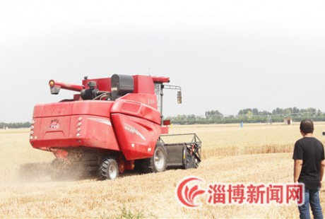 淄博首次啟用無(wú)人駕駛農(nóng)機(jī)參與夏收夏播，141.23萬(wàn)畝小麥?zhǔn)斋@過(guò)半！