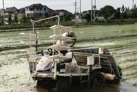 寧波慈溪引進首臺無人駕駛插秧機，搭載北斗導航駕駛系統(tǒng)